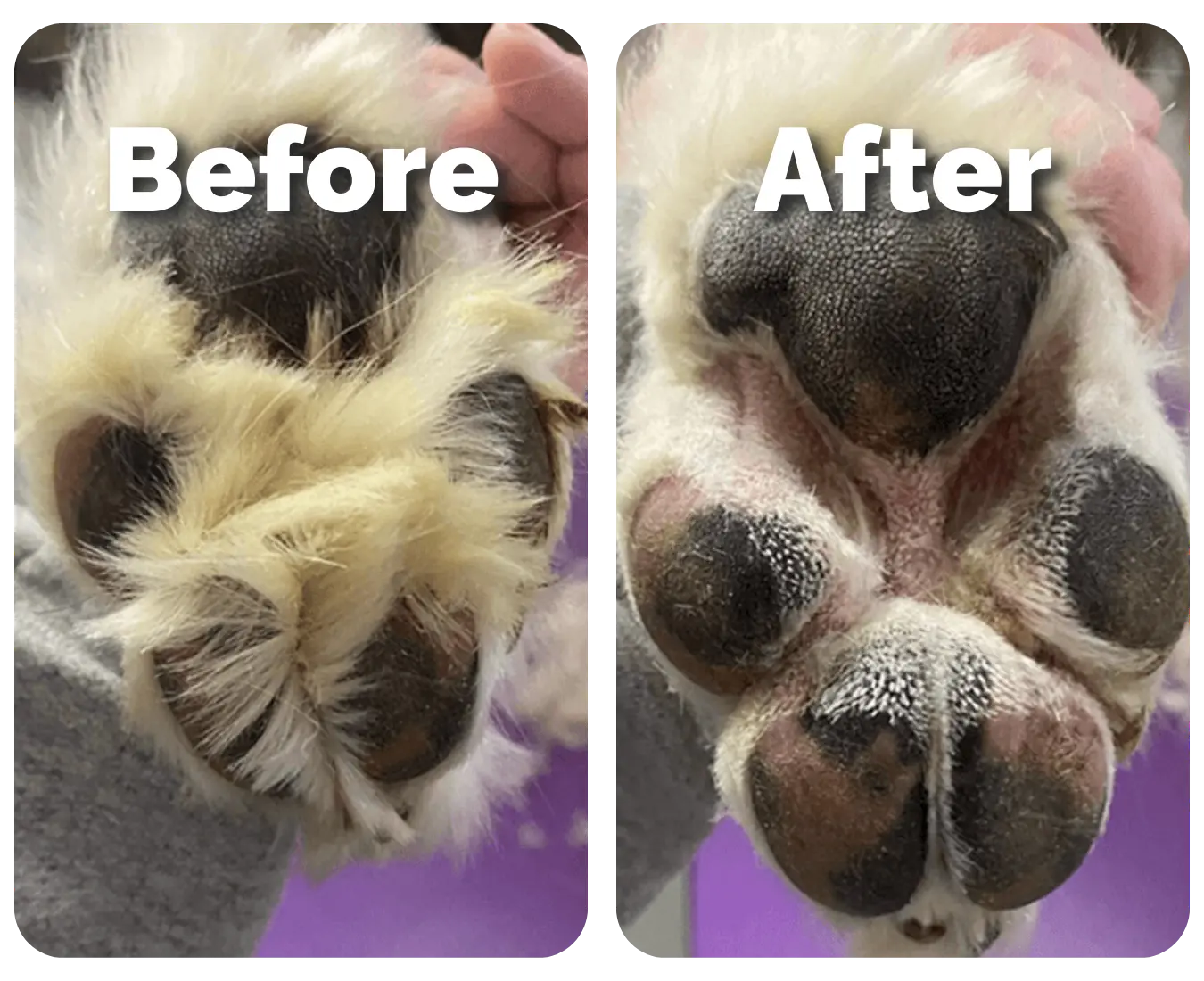 SwiftPaws™ Pro trimmer